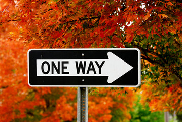 one way sign against autumn tree leaves
