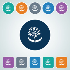 Icon of Save Tree in Multi Color Circle & Square Shape. Eps-10.