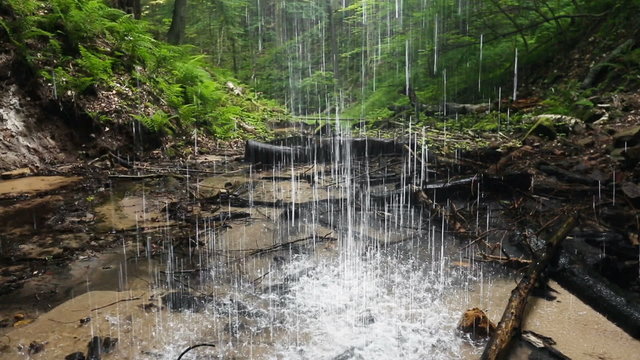 Loop features water falling in the woods as viewed from behind Memorial Falls, a waterfall in Michigan's Upper Peninsula near the town of Munising.