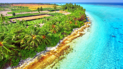 Fototapeta premium Shoreline of a tropical island in the Maldives and view of the I