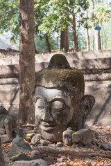Buddha statue's head at Wat Umong