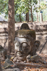 Obraz premium Buddha statue's head at Wat Umong