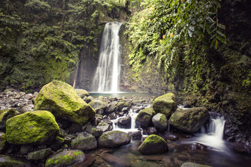 Kleiner Wasserfall mit Felsen im Wald
