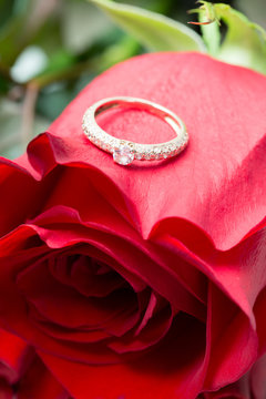 Red rose with a ring with jewels