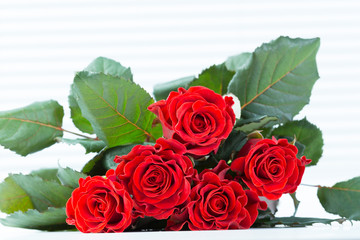Red roses