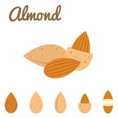 Vector almond icon, flat design