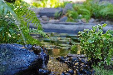 Water flowing on the stones
