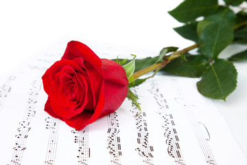 Rose and music sheets