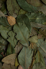 macro bay leaves for kitchen