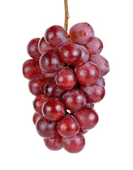 Red grape isolated on the white background