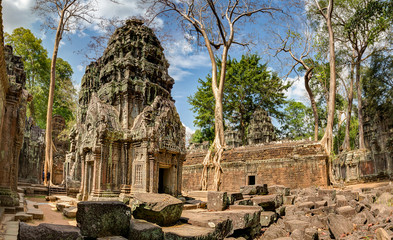 Fototapeta premium Angkor Wat Cambodia. Ta Prohm Khmer ancient Buddhist temple.