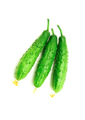 fresh cucumbers isolated on white