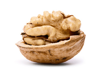 walnut isolated on a white background