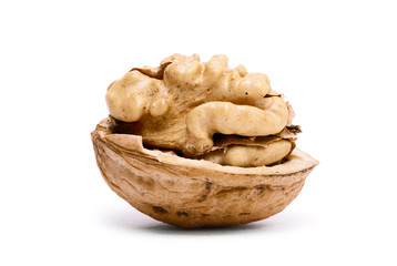 walnut isolated on a white background