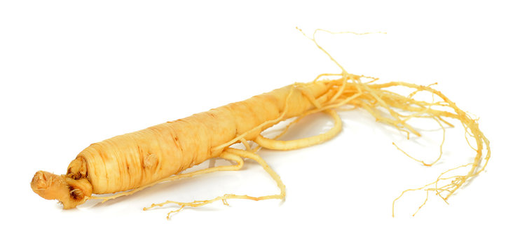 Ginseng isolated on the white background