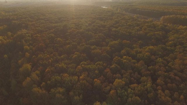 Aerial autumn forest and the sun