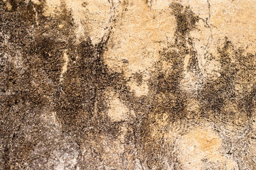 white concrete wall texture