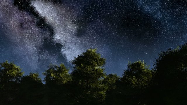 4K TIme Lapse of Stars and Silhouetted Trees
