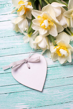 White  and yellow daffodils flowers and decorative heart