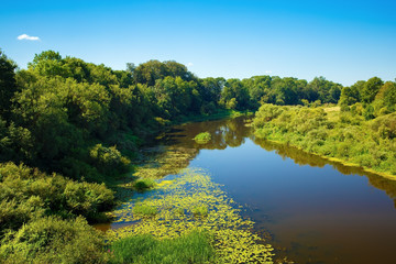 Calm river with thickets of trees and shrubs along the banks. Sunny summer day. Surface of the water with the reflection of blue sky.