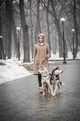 Naklejka na ściany i meble A teen girl with husky dogs are walking in the park in winter