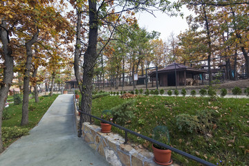 Pedestrian path with green grass and flowers