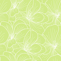 Green and white geranium flowers line drawing seamless pattern