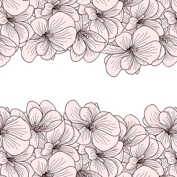 Geranium flowers background with copyspace