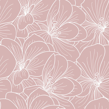 Pink and white geranium flowers line drawing seamless pattern