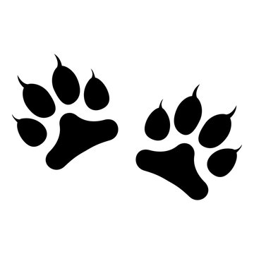 Animals footprints with claws isolated on white background. Vector illustration