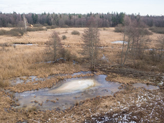 Puszcza Białowieska, widok na dolinę rzeki Narewki