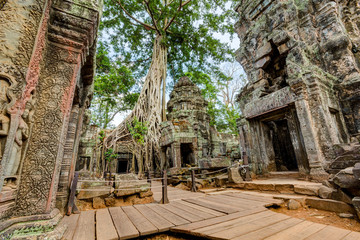 Angkor Wat Cambodia. Ta Prohm Khmer ancient Buddhist temple.