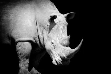 Papier Peint photo Rhinocéros Rhino sur fond sombre