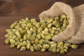 Getrocknete Hopfendolden