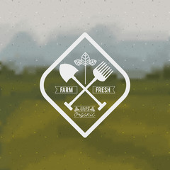 vegetarian food design 