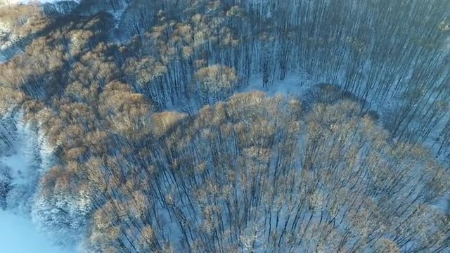 Pan Fly Over a Frozen Forest with Road.