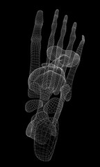 Naklejka premium Human leg skeleton