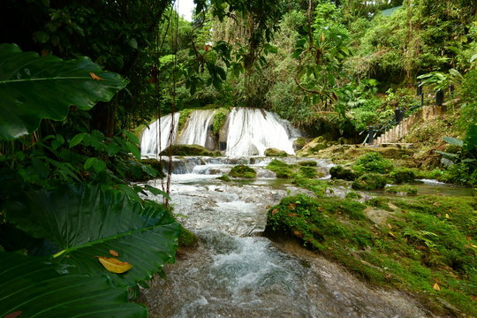 Reach Falls waterfalls and surrounding lush tropical rain forests not too far from Port Antonio are one of the most popular tourist destinations and attractions in Portland parish, Jamaica.