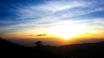 Morning sunshine over the mist forest national park, Thailand