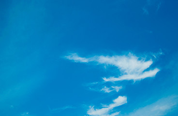 Fototapeta na wymiar cloud and blue sky