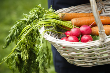Vegetables in basket