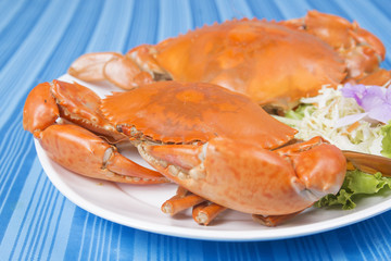 Big steam crab