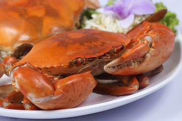 Fresh Big steam crab on the plate
