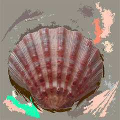 Sea shell abstract background with marble. coral color