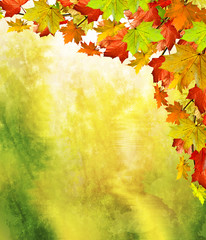 Naklejka na ściany i meble Autumn foliage. Golden Autumn