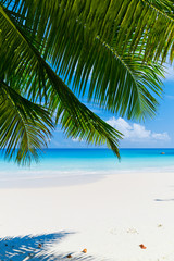 Plakat Anse Lazio beach, Praslin island. The Seychelles