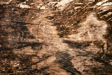 Old wood texture