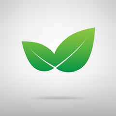 Icon leaf green icon