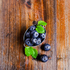 Fresh blueberries and mint