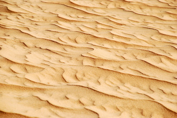Sand Wave Pattern
